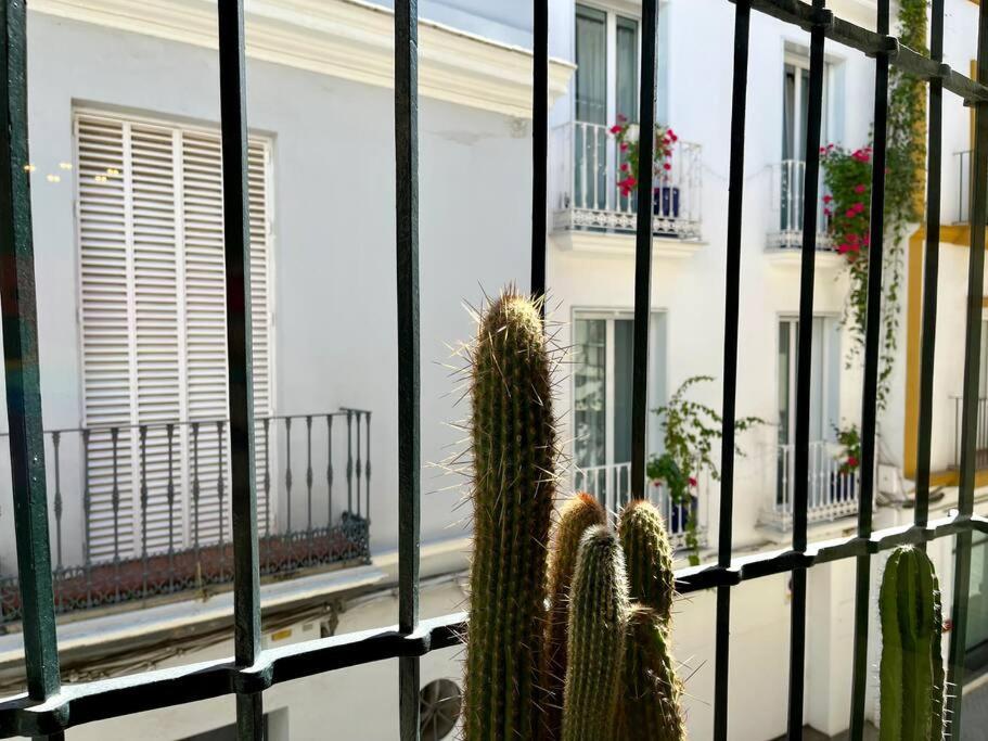 Apartamento Suite Alameda De Hercules Seville Exterior photo